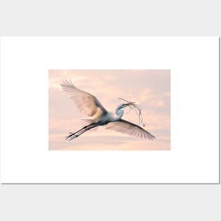 Egret with nesting material Posters and Art